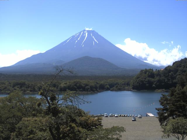 精進湖からの富士山