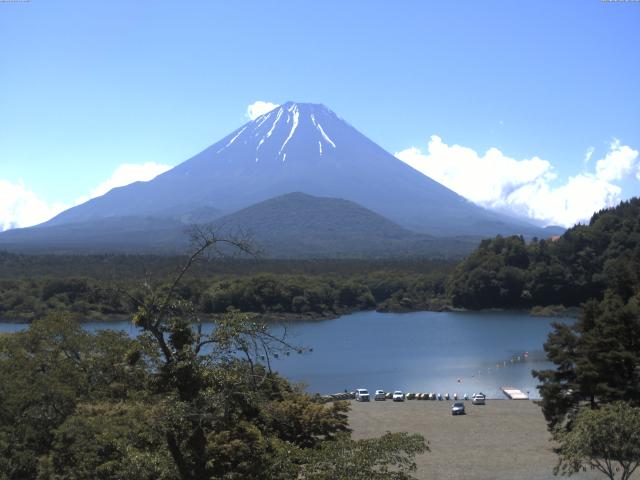 精進湖からの富士山
