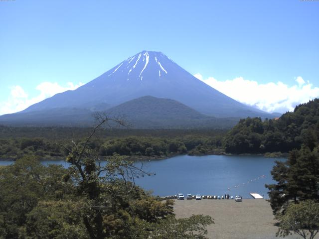 精進湖からの富士山