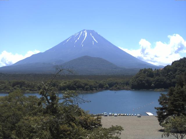 精進湖からの富士山