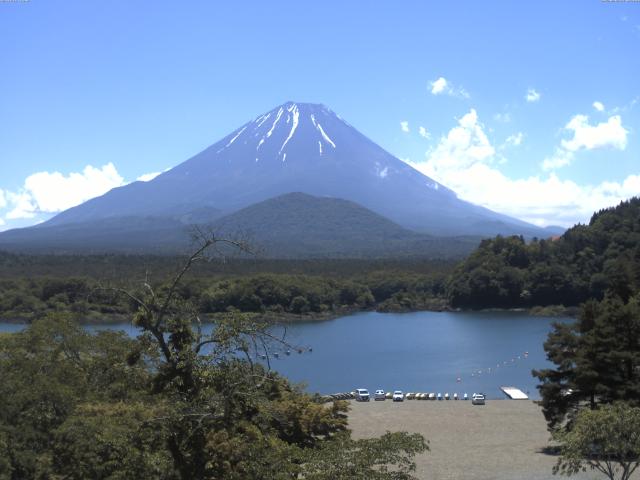 精進湖からの富士山