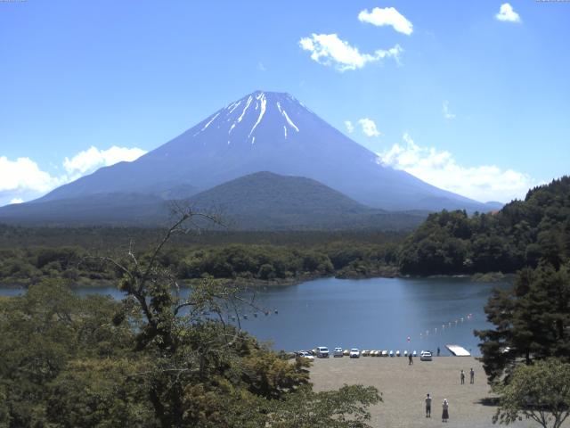 精進湖からの富士山