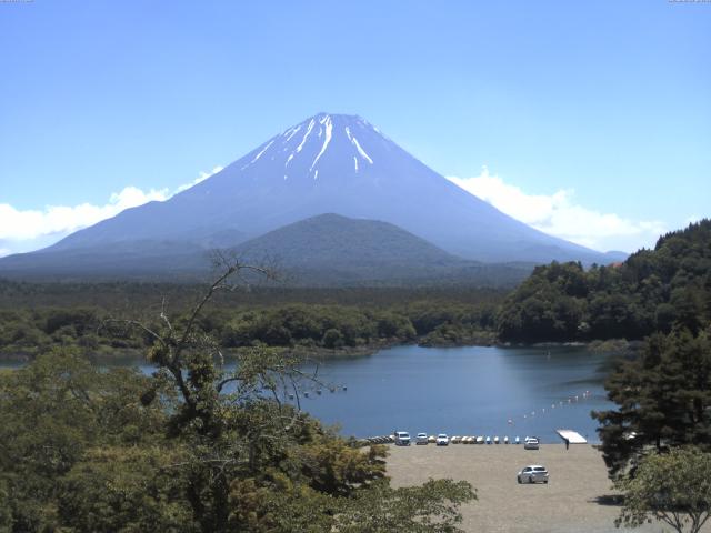 精進湖からの富士山