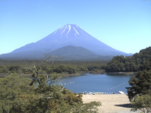 精進湖からの富士山