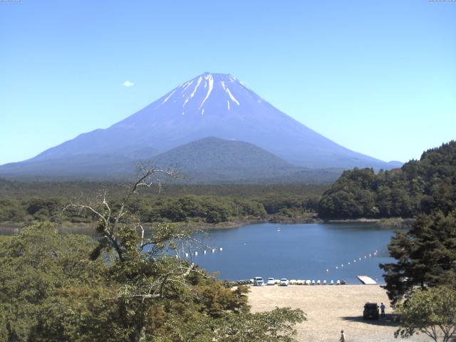 精進湖からの富士山