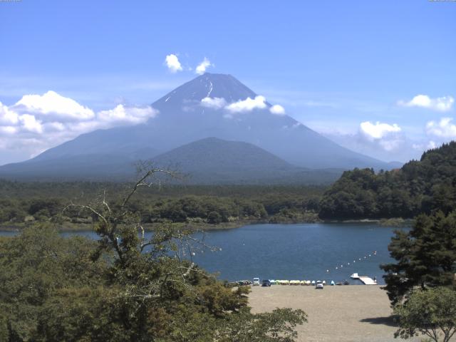 精進湖からの富士山