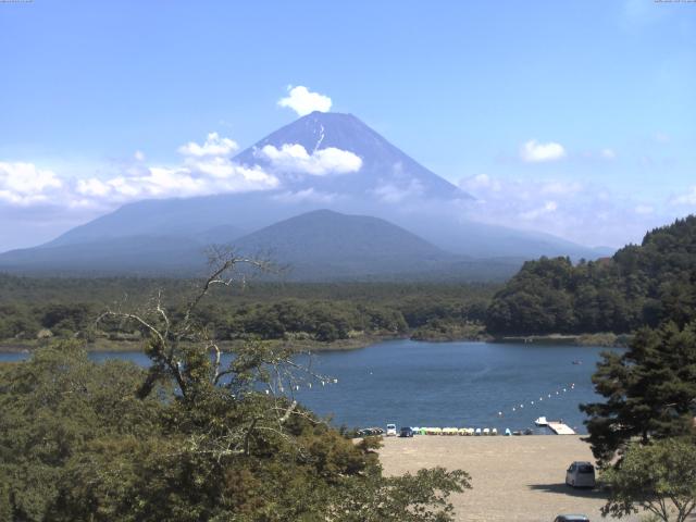 精進湖からの富士山