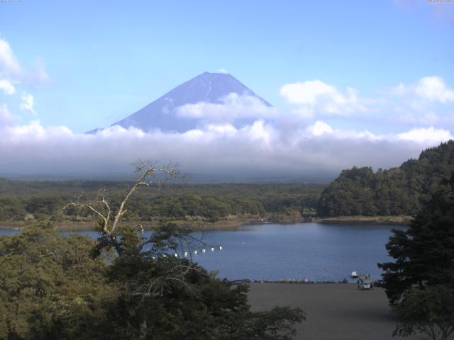 精進湖からの富士山