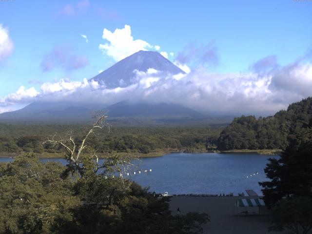 精進湖からの富士山