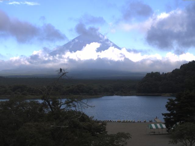 精進湖からの富士山