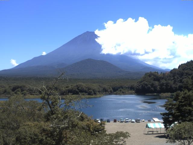 精進湖からの富士山