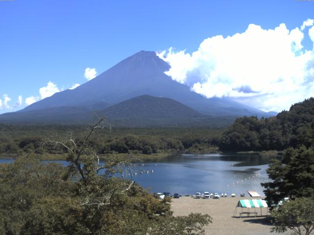 精進湖からの富士山