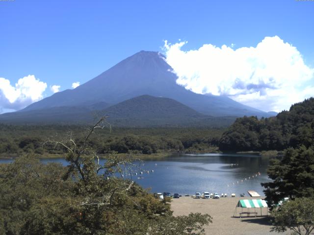 精進湖からの富士山