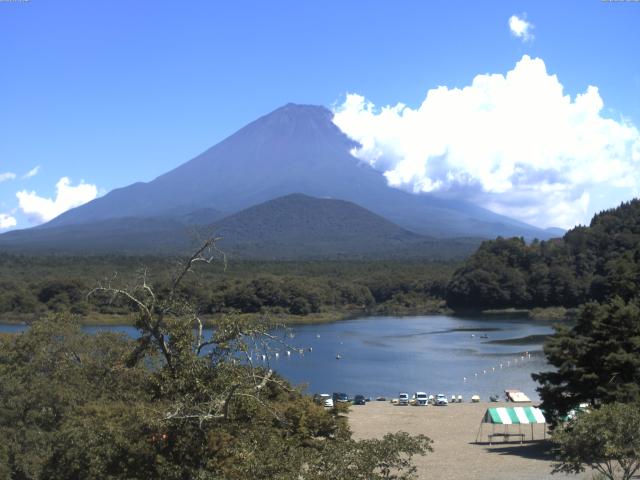 精進湖からの富士山