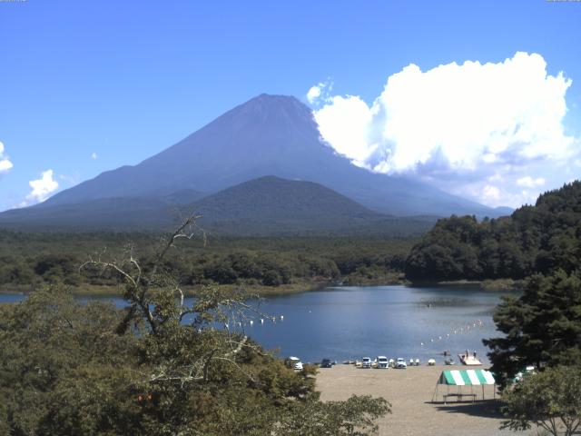 精進湖からの富士山