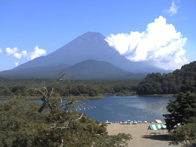 精進湖からの富士山