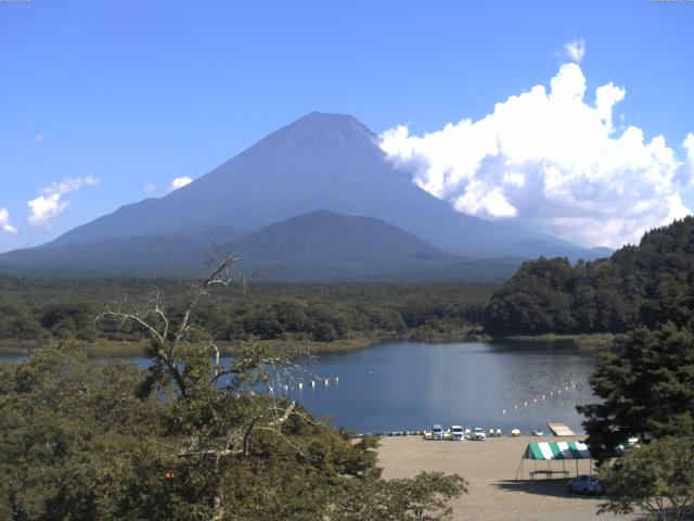 精進湖からの富士山