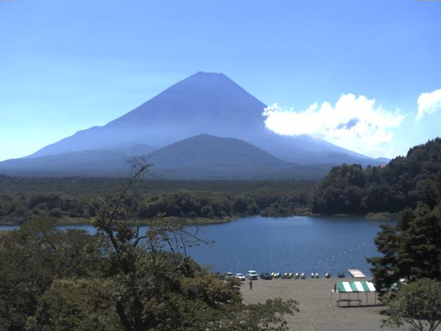 精進湖からの富士山