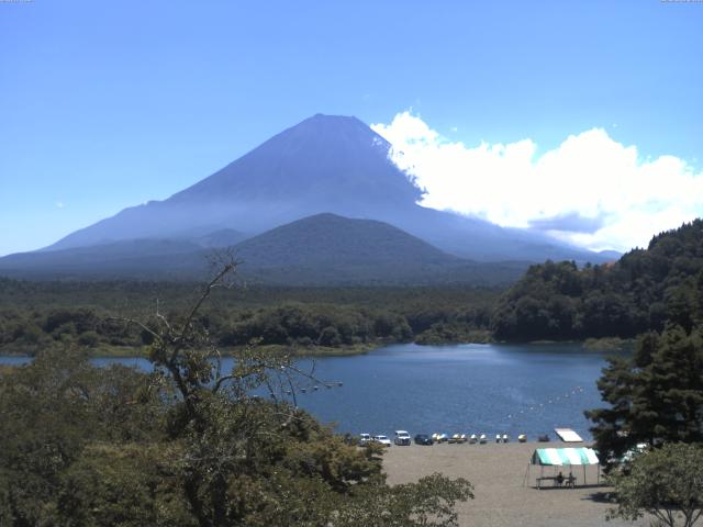 精進湖からの富士山