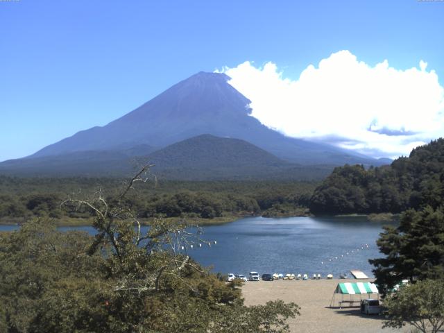 精進湖からの富士山