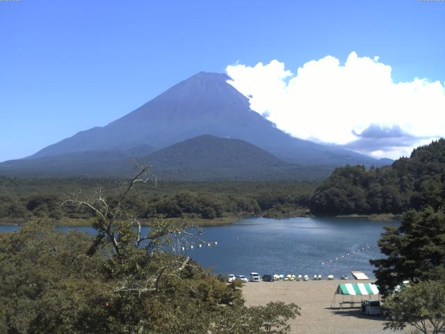精進湖からの富士山