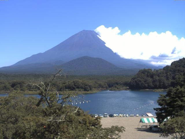 精進湖からの富士山