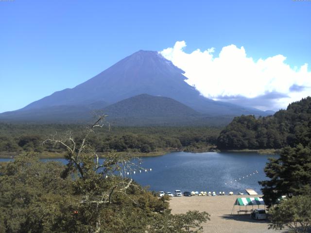 精進湖からの富士山