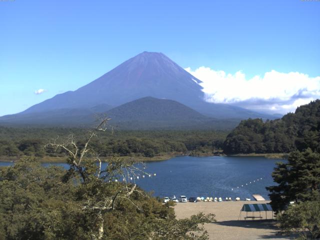 精進湖からの富士山