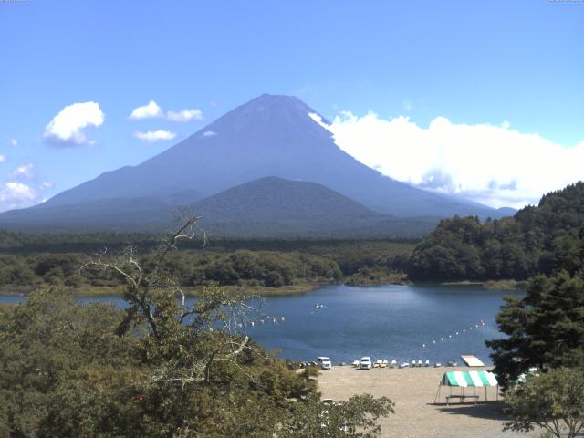 精進湖からの富士山