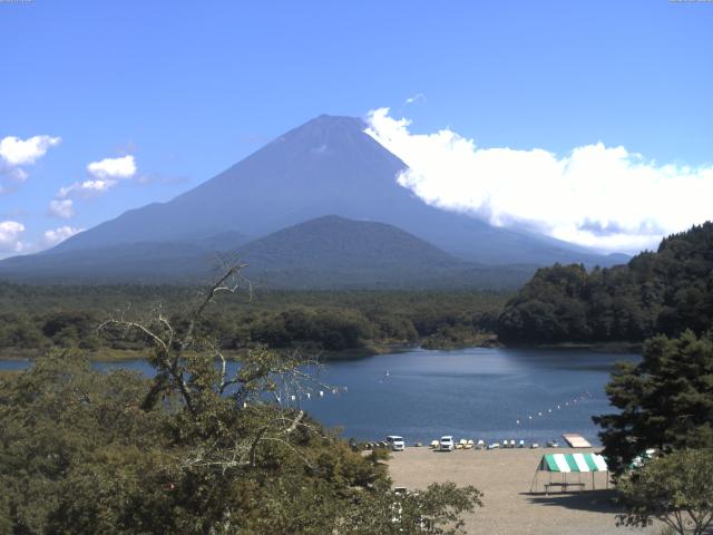 精進湖からの富士山