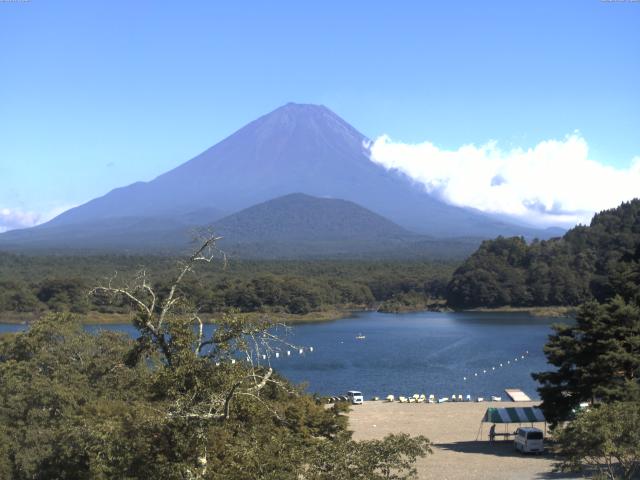 精進湖からの富士山