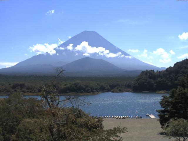 精進湖からの富士山