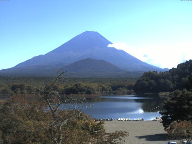 精進湖からの富士山
