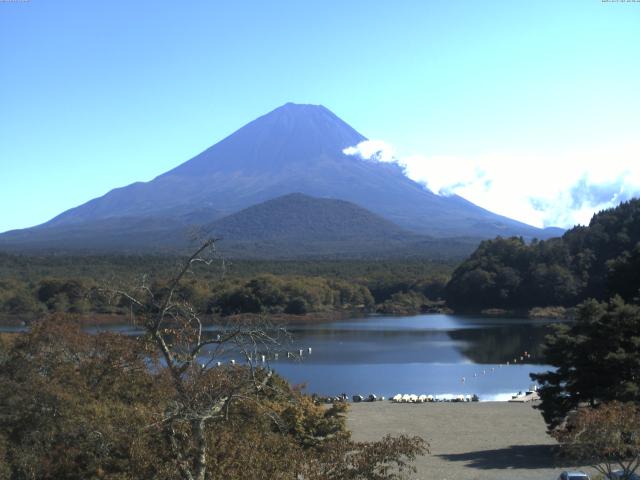 精進湖からの富士山