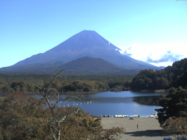 精進湖からの富士山