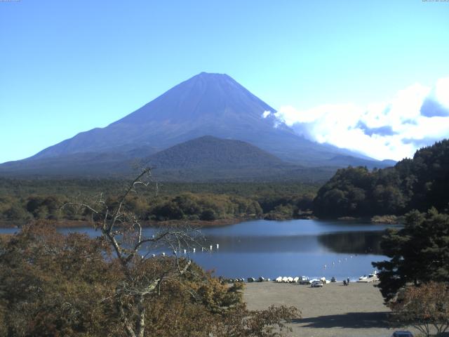 精進湖からの富士山