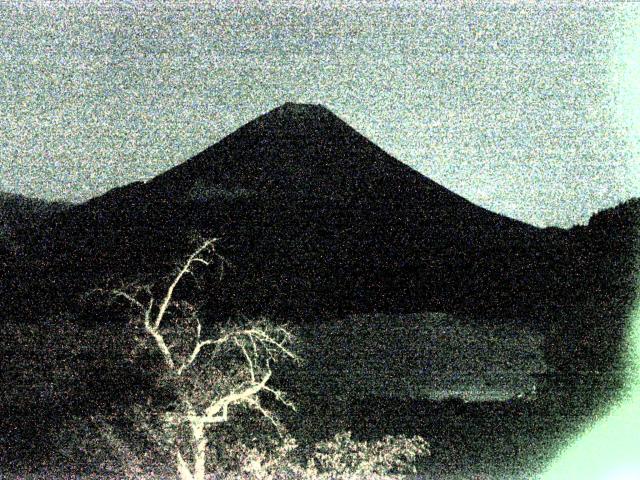 精進湖からの富士山