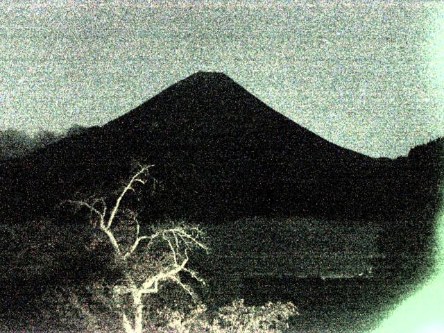 精進湖からの富士山