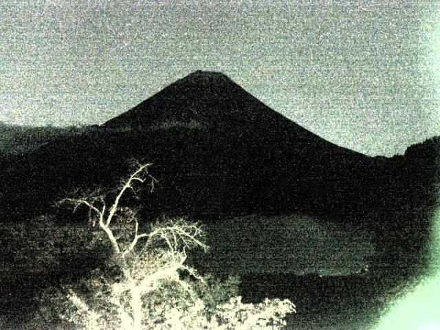 精進湖からの富士山