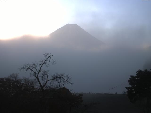 精進湖からの富士山