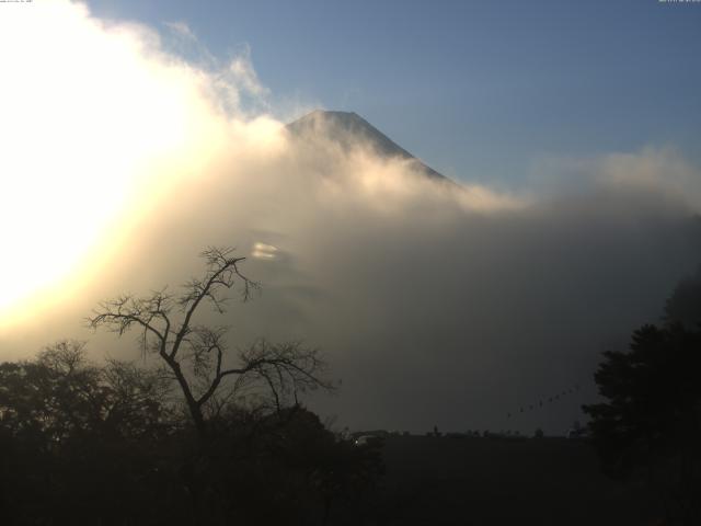 精進湖からの富士山