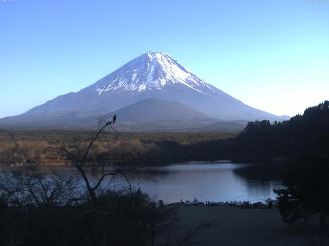 精進湖からの富士山