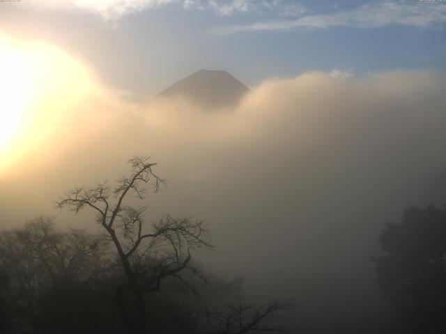 精進湖からの富士山