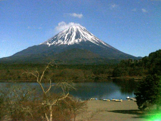 精進湖からの富士山
