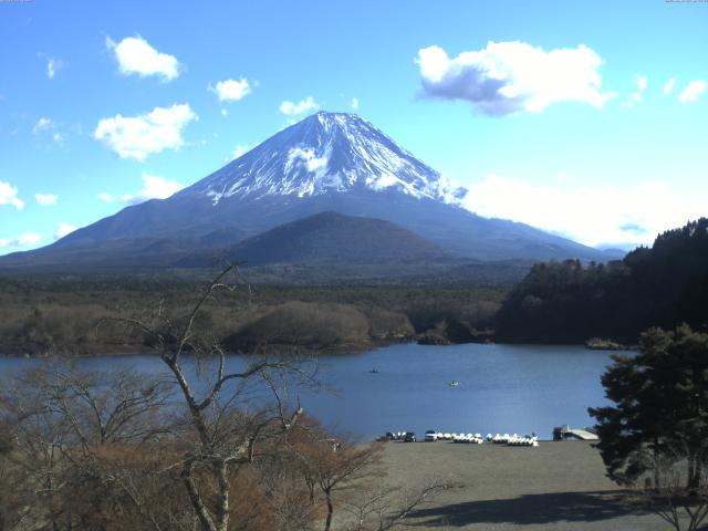 精進湖からの富士山