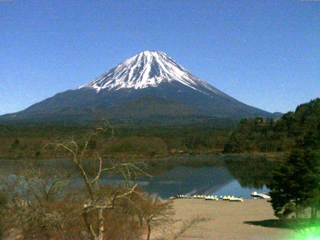 精進湖からの富士山