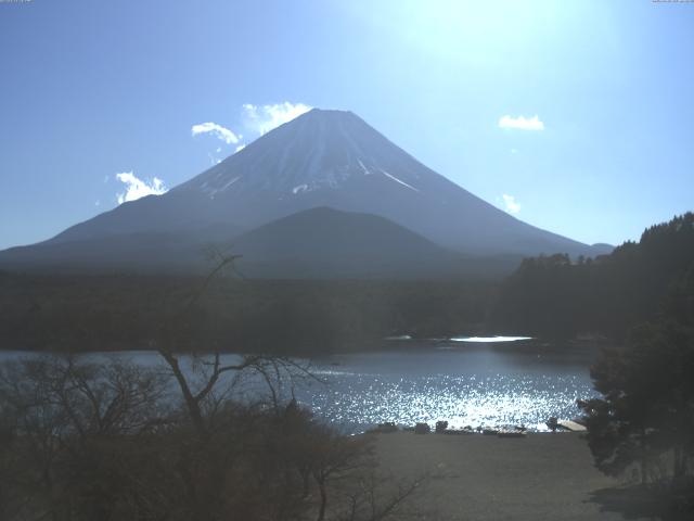 精進湖からの富士山