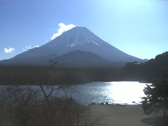 精進湖からの富士山