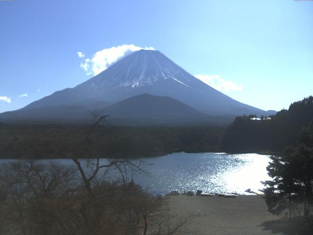 精進湖からの富士山