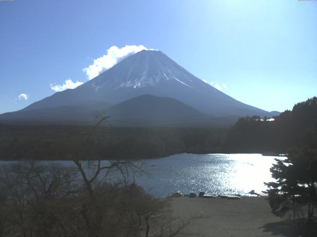 精進湖からの富士山